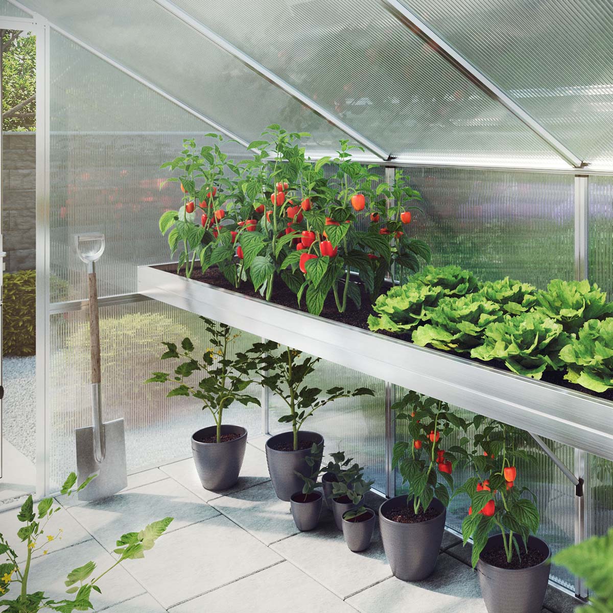 Plantebakke - Iris II