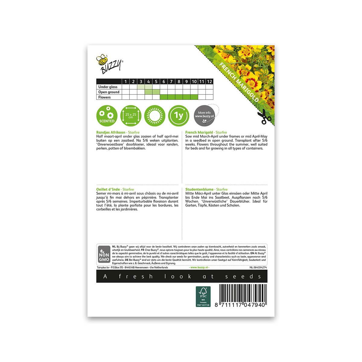 Bagside af Buzzy Seeds franske morgenfruefrø