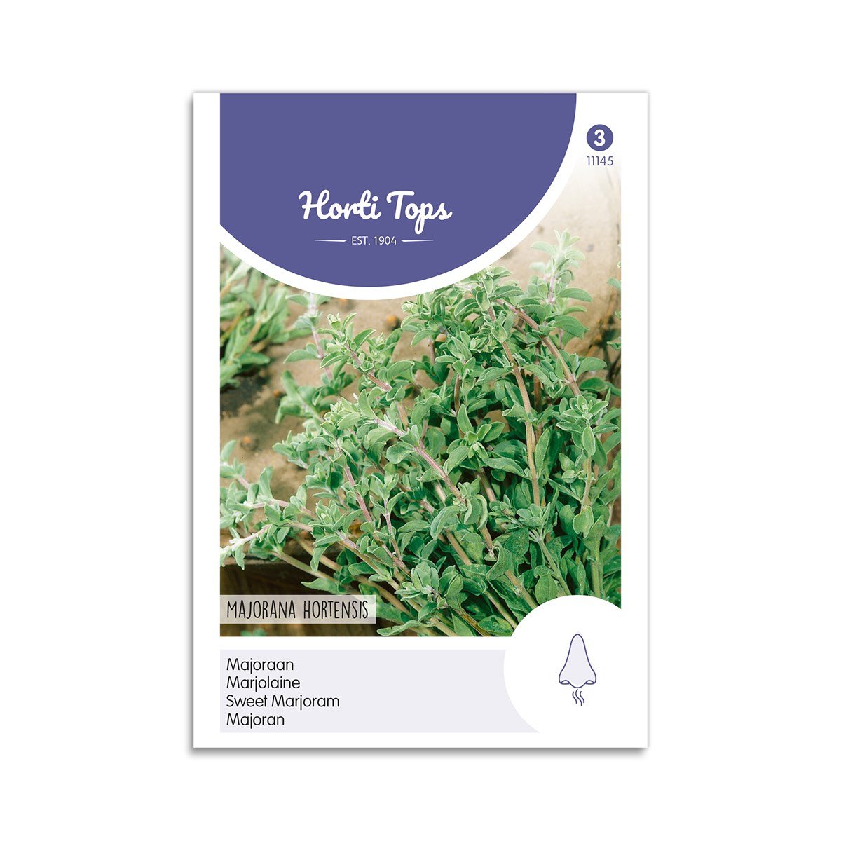 Merian frø "Majorana Hortensis"