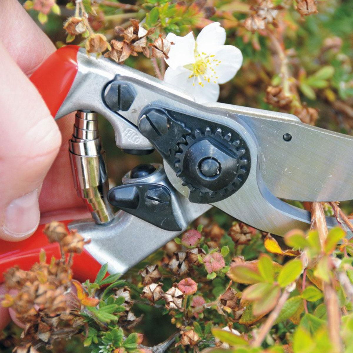 Havearbejde med håndbeskæresaks i busk