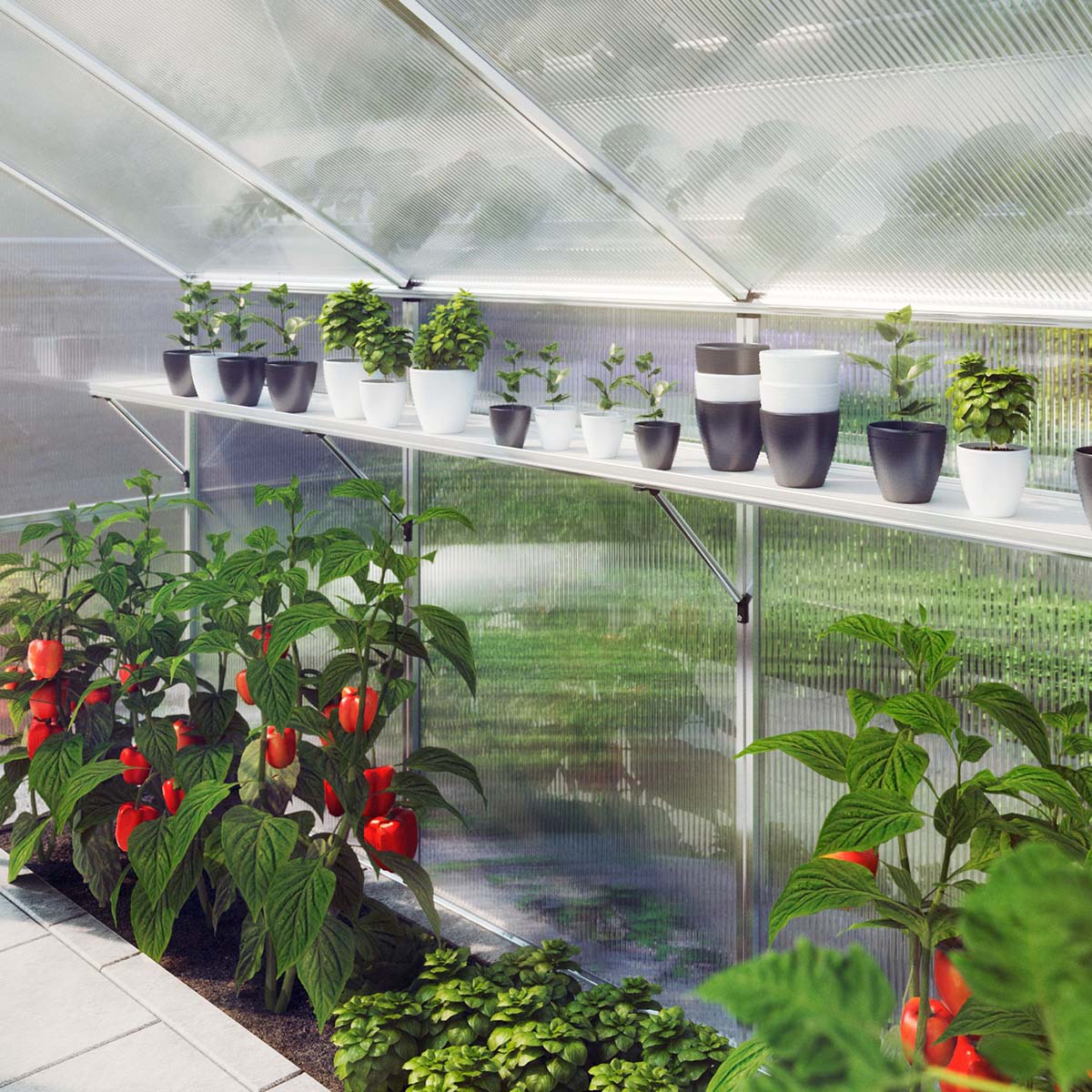 Hylde til vægophængning - Rhodo III