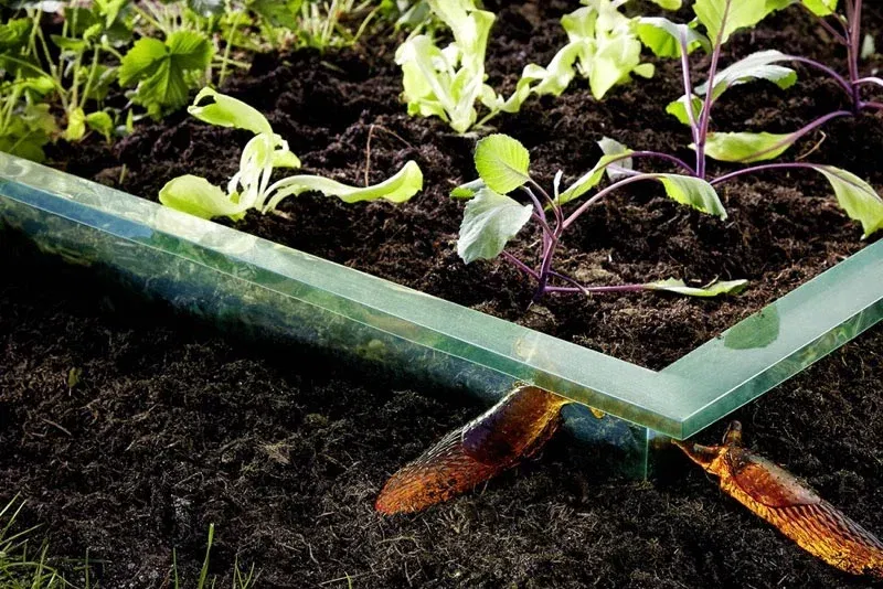 0d135293b14fcbf1ce9172c1836eed8f