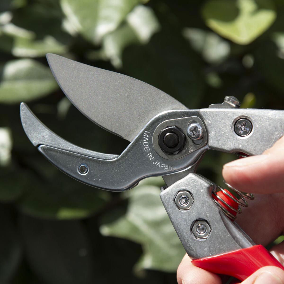 Hånd holder japansk beskæresaks i rustfrit stål