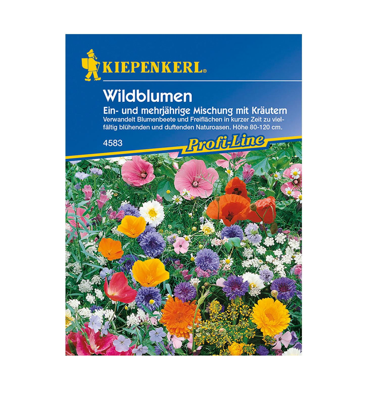 Blomsterblanding med urter, Vilde Blomster - 25 m2