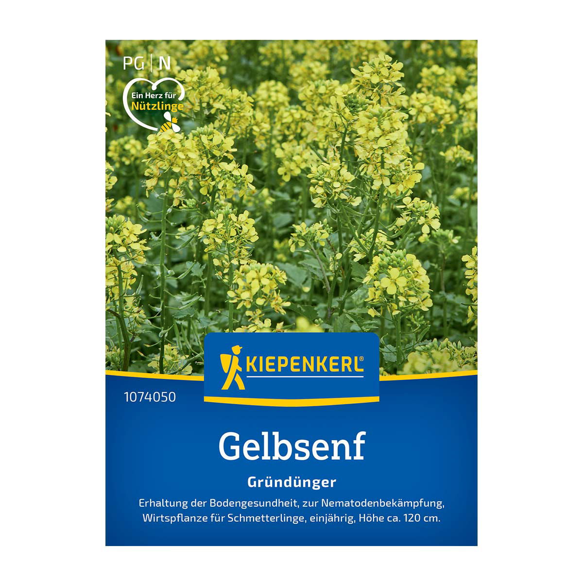 Gul Sennep frø - 20 m2