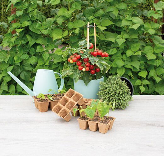 Biologisk nedbrydelige såbakker med planter i haven