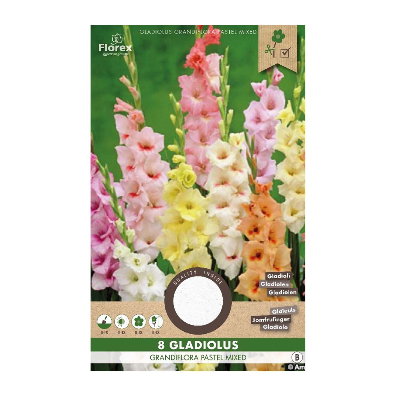 Gladiolus Pastel mix - 8 løg