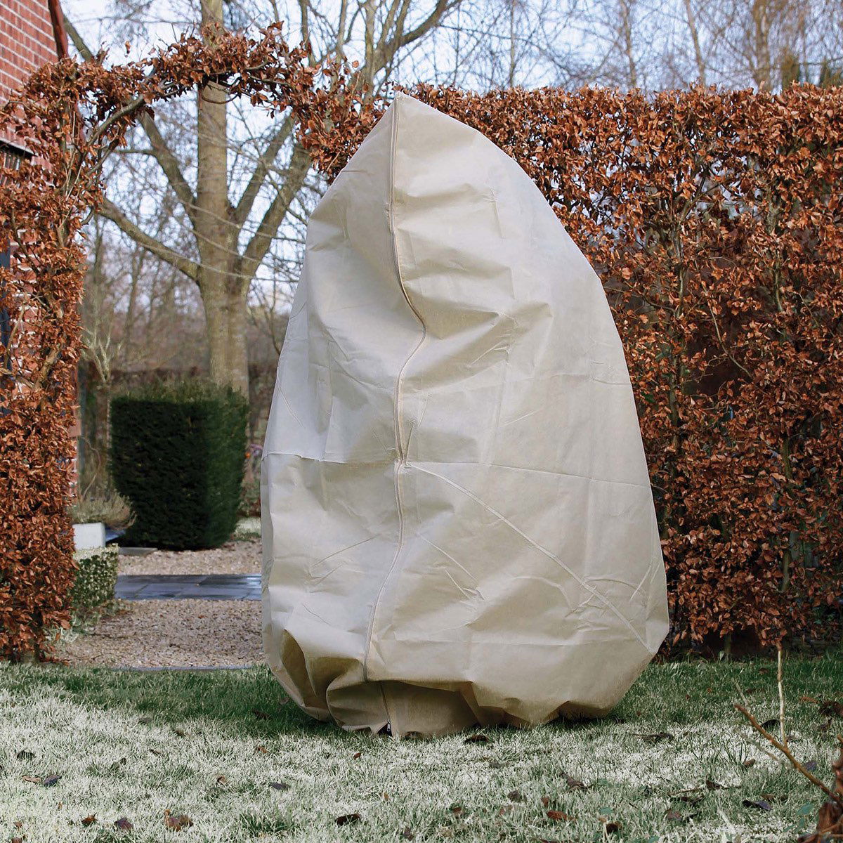 Træ i haven dækket af åndbart vinterbeskyttelsesovertræk