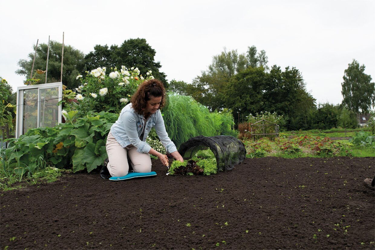 Kvinde planter grøntsager med knæpude i haven