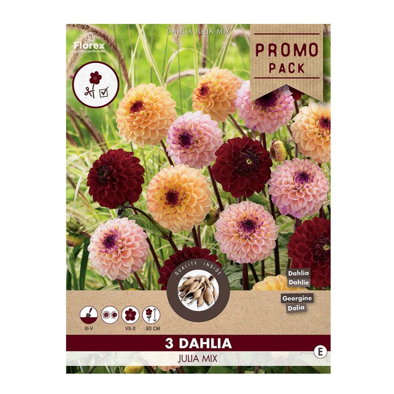 Dahlia Julia Mix – 3 løg