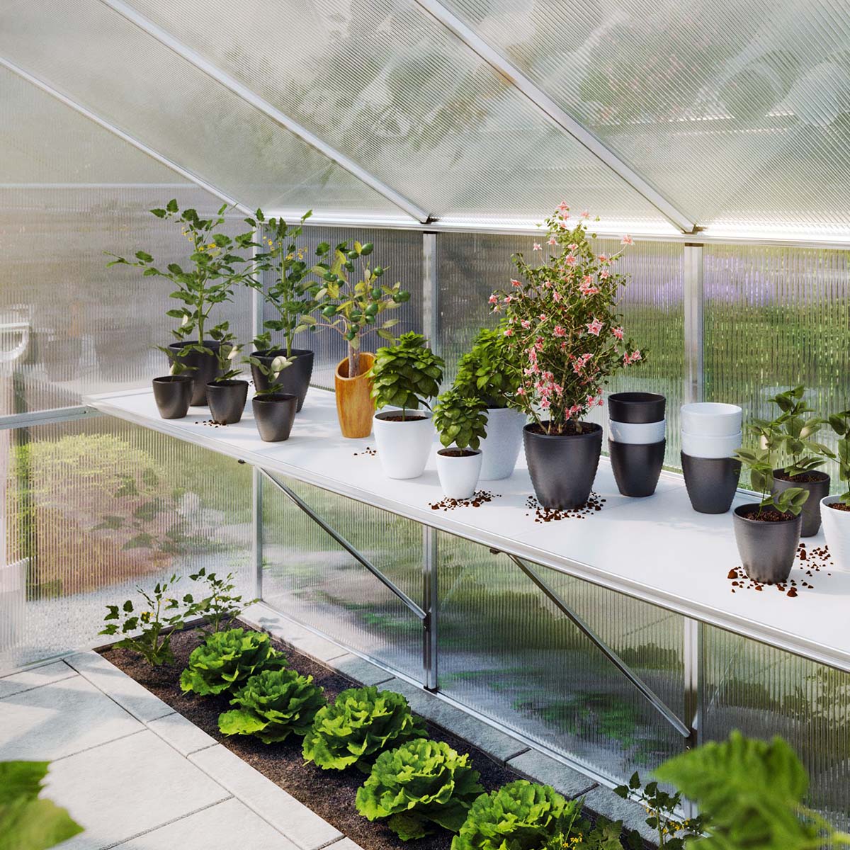 Bordstativ - Enzian IV