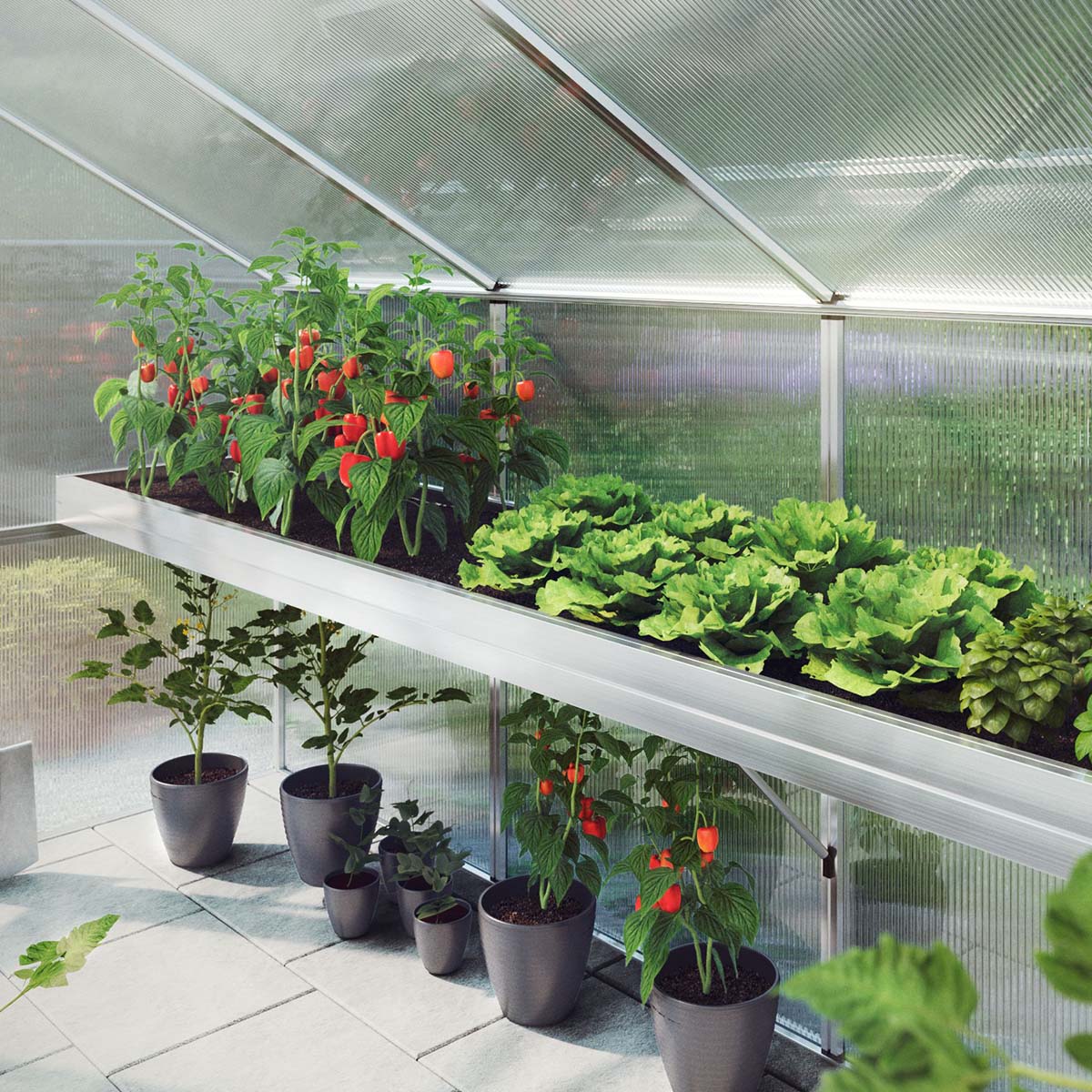 Plantebakke - Lilie III