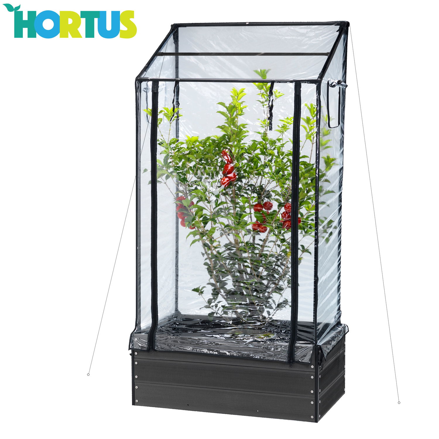 HORTUS mini drivhus til beskyttelse af planter