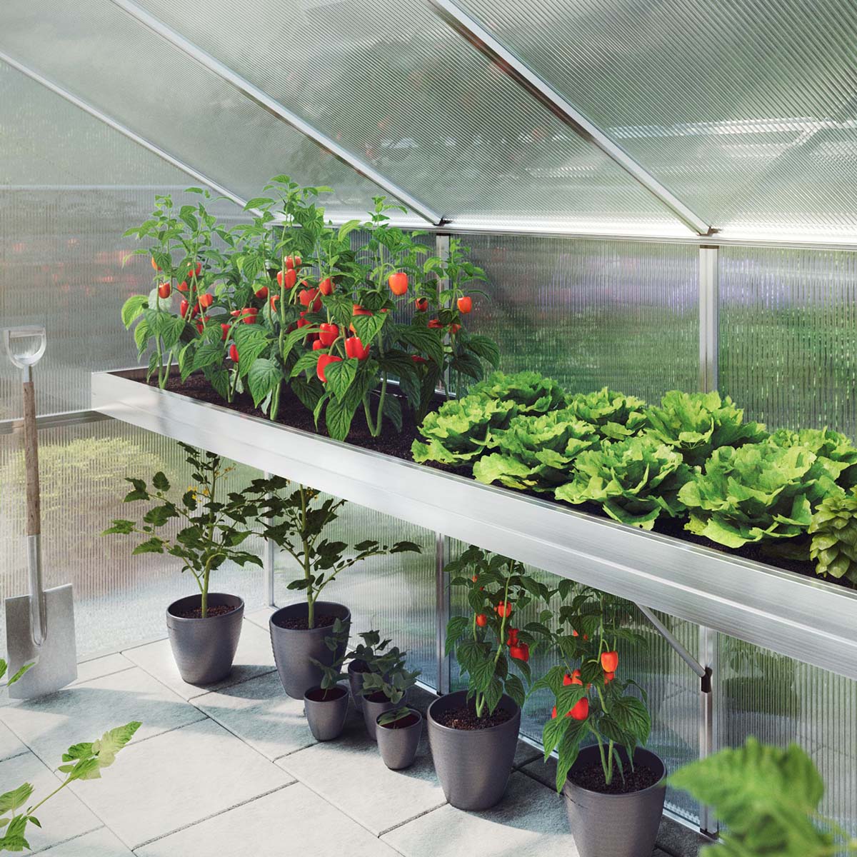 Plantebakke - Iris IV