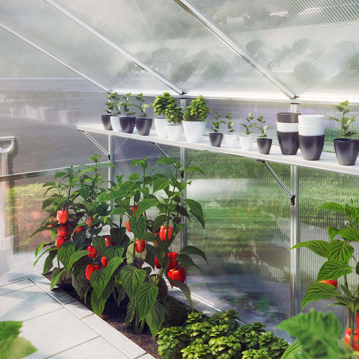 Hylde til vægophængning - Aptasia IV