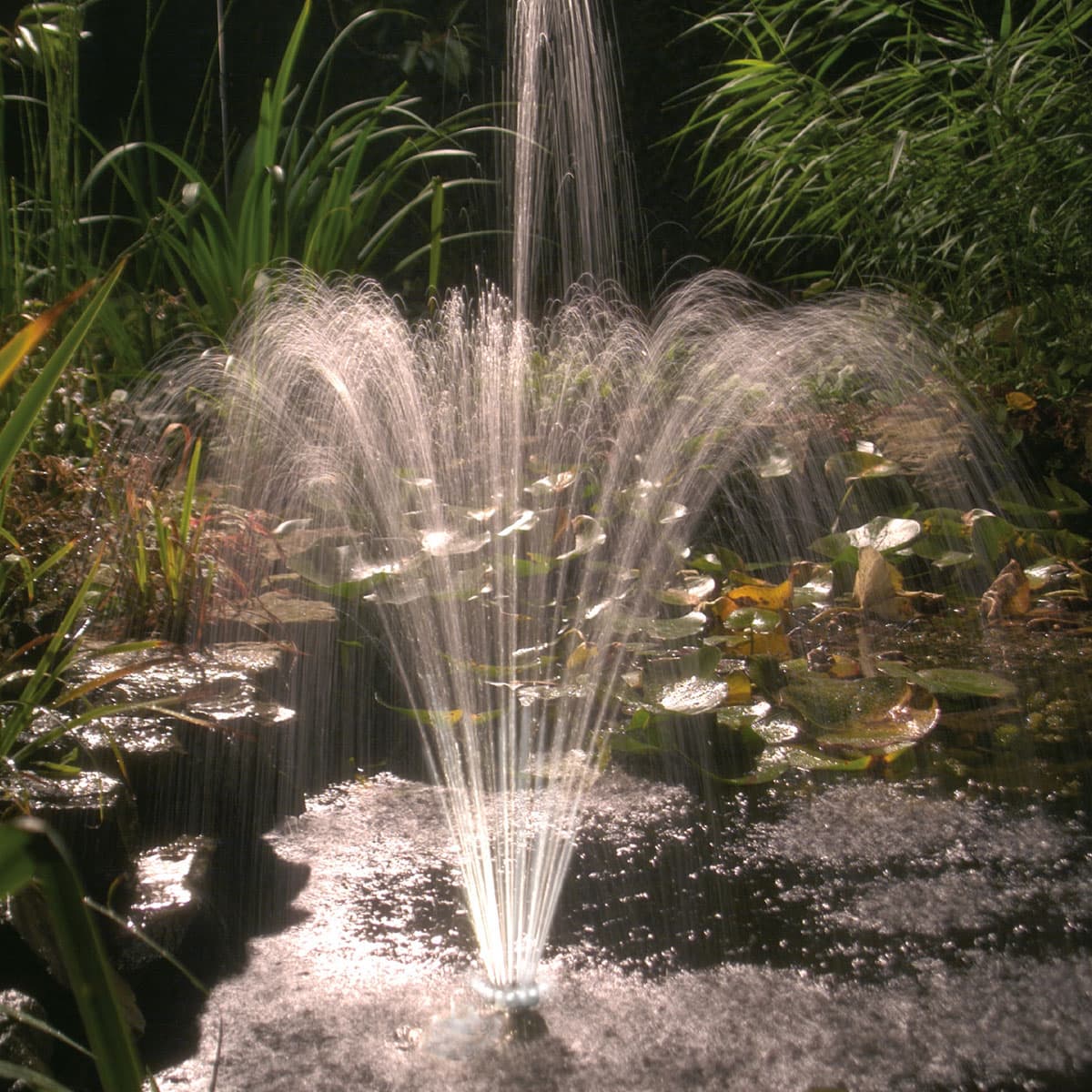 Dekorativt springvand i havedam med åkander