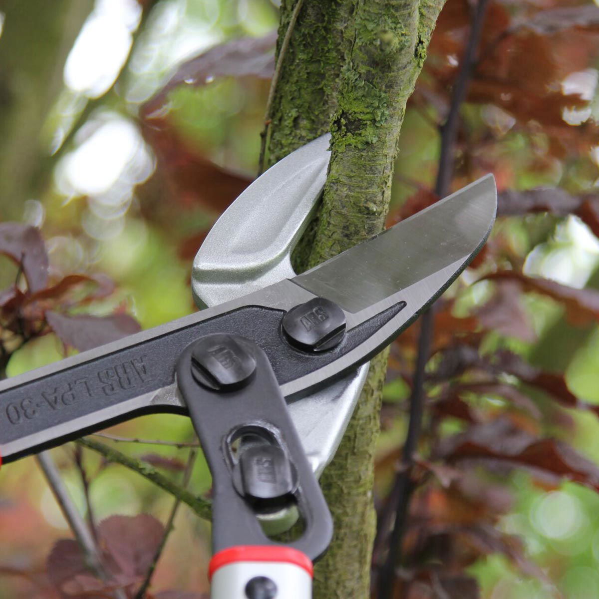 Grensaks i brug til beskæring af gren