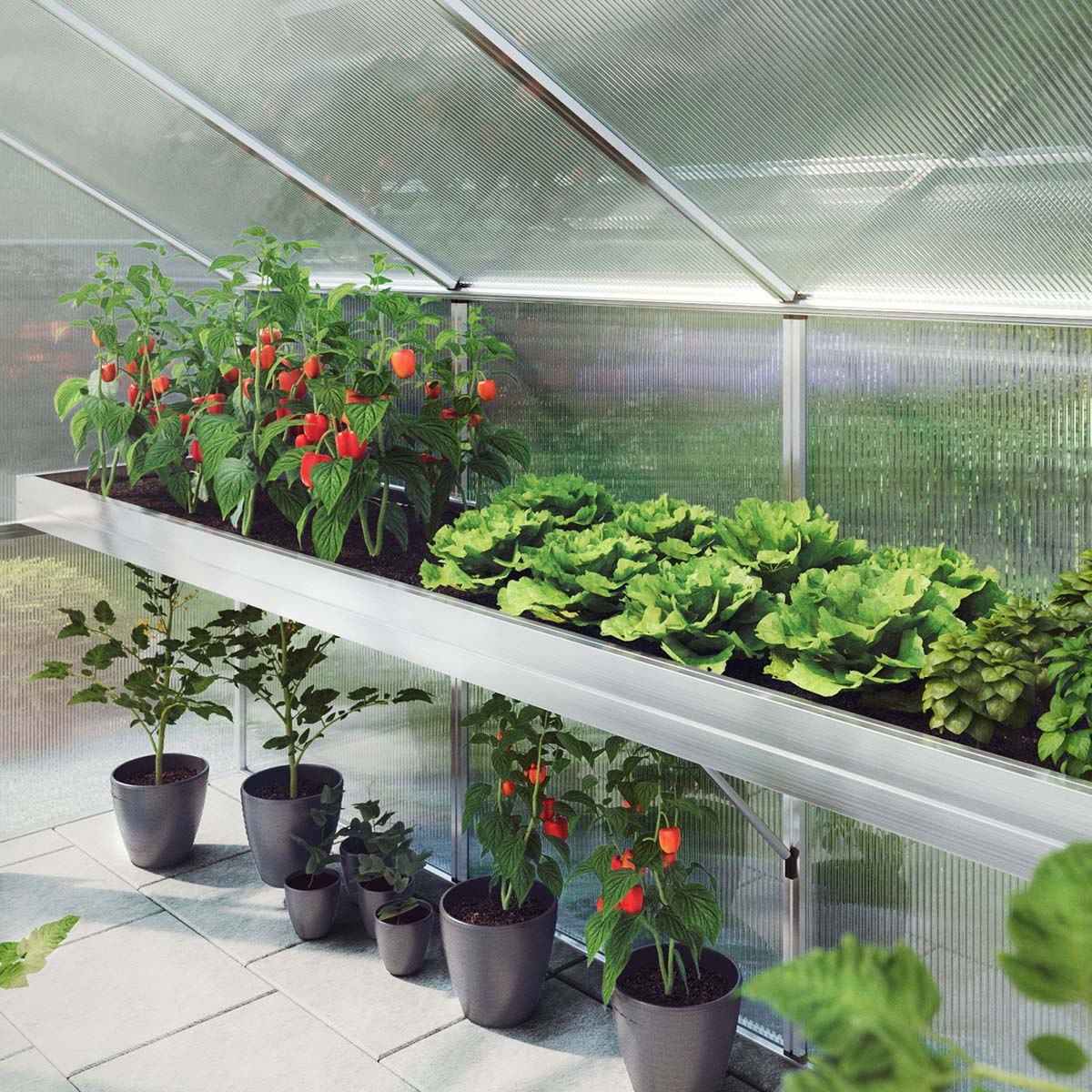 Plantebakke - Rose III