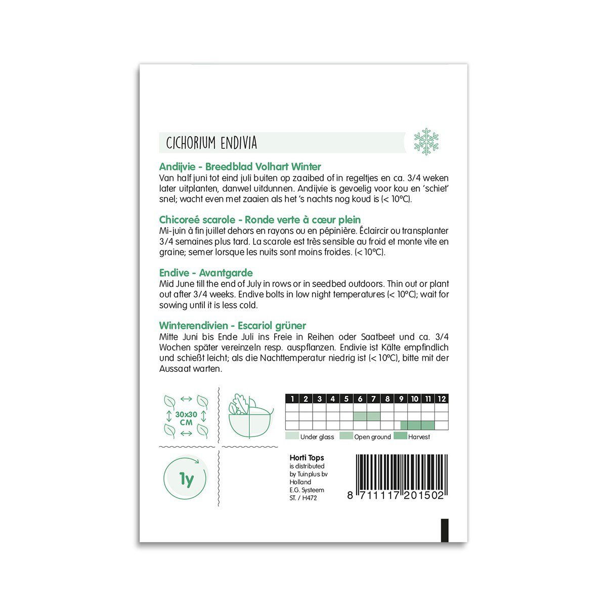 Bagside af frøpose til vinterendivie Escarol grøn