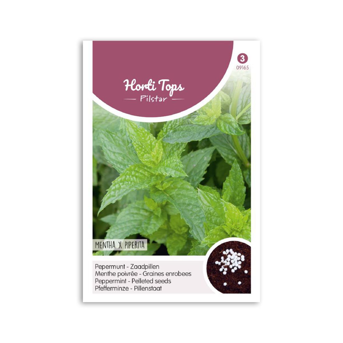 Pakke med pebermynte frøpiller Mentha x piperita