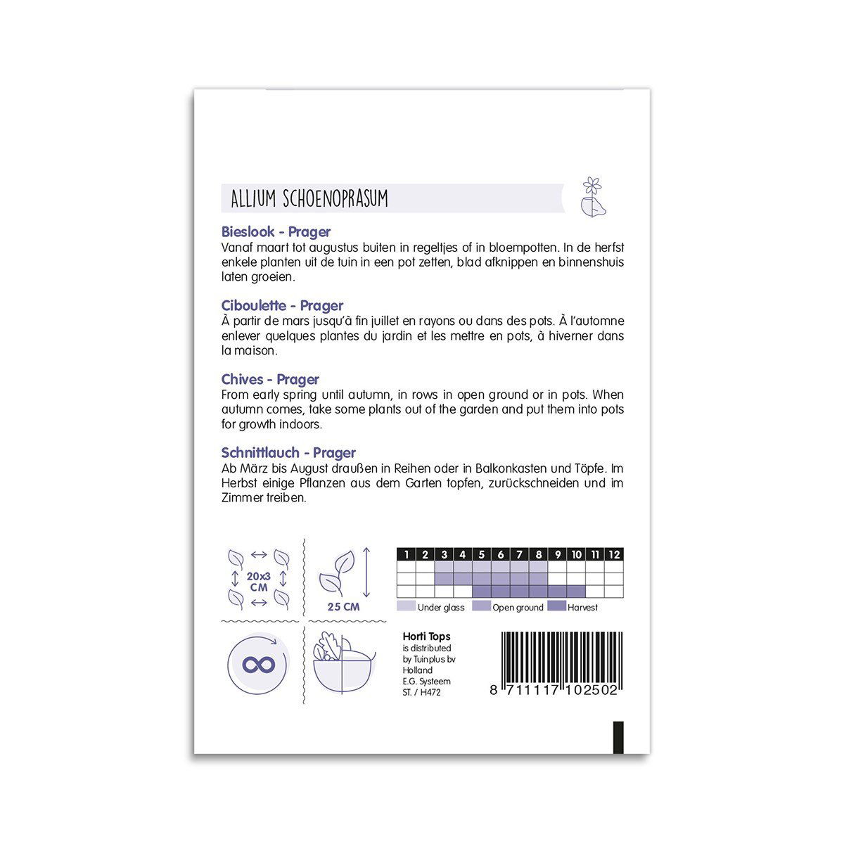 Frøpose til purløg Allium schoenoprasum Prager