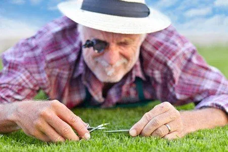 648fe5c41d093945ac76e8d389986434