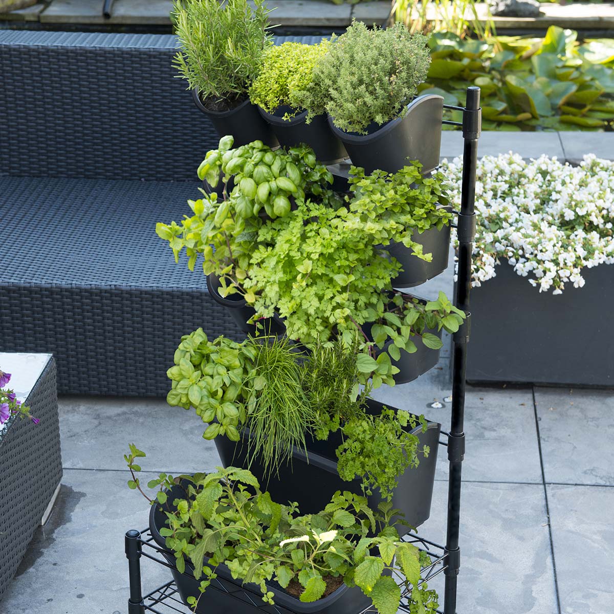 Sort, vertikalt plantekassestativ med krydderurter på terras