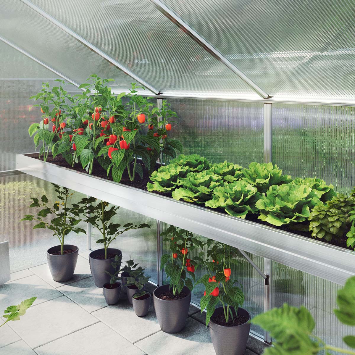 Plantebakke - Linea II