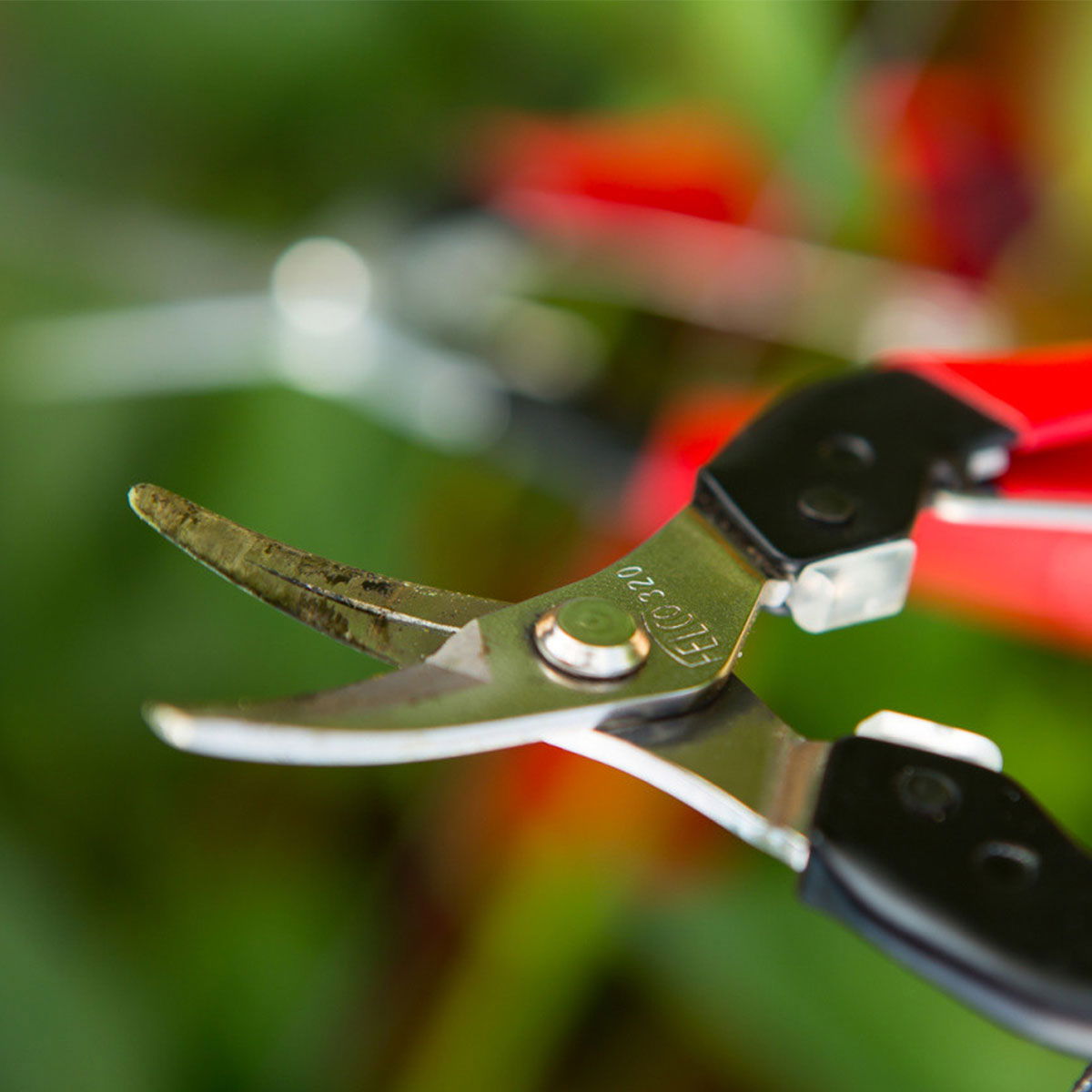 Skarp beskæresaks med buet klinge til havearbejde