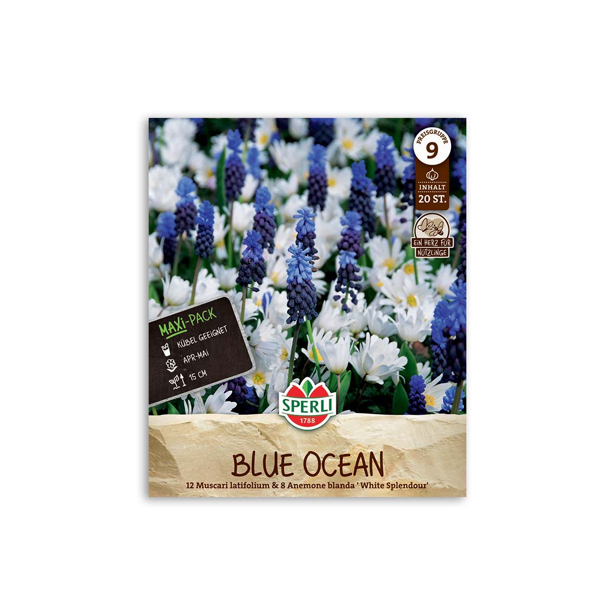 Sperli Blue Ocean perlehyacint og hvid anemone løg