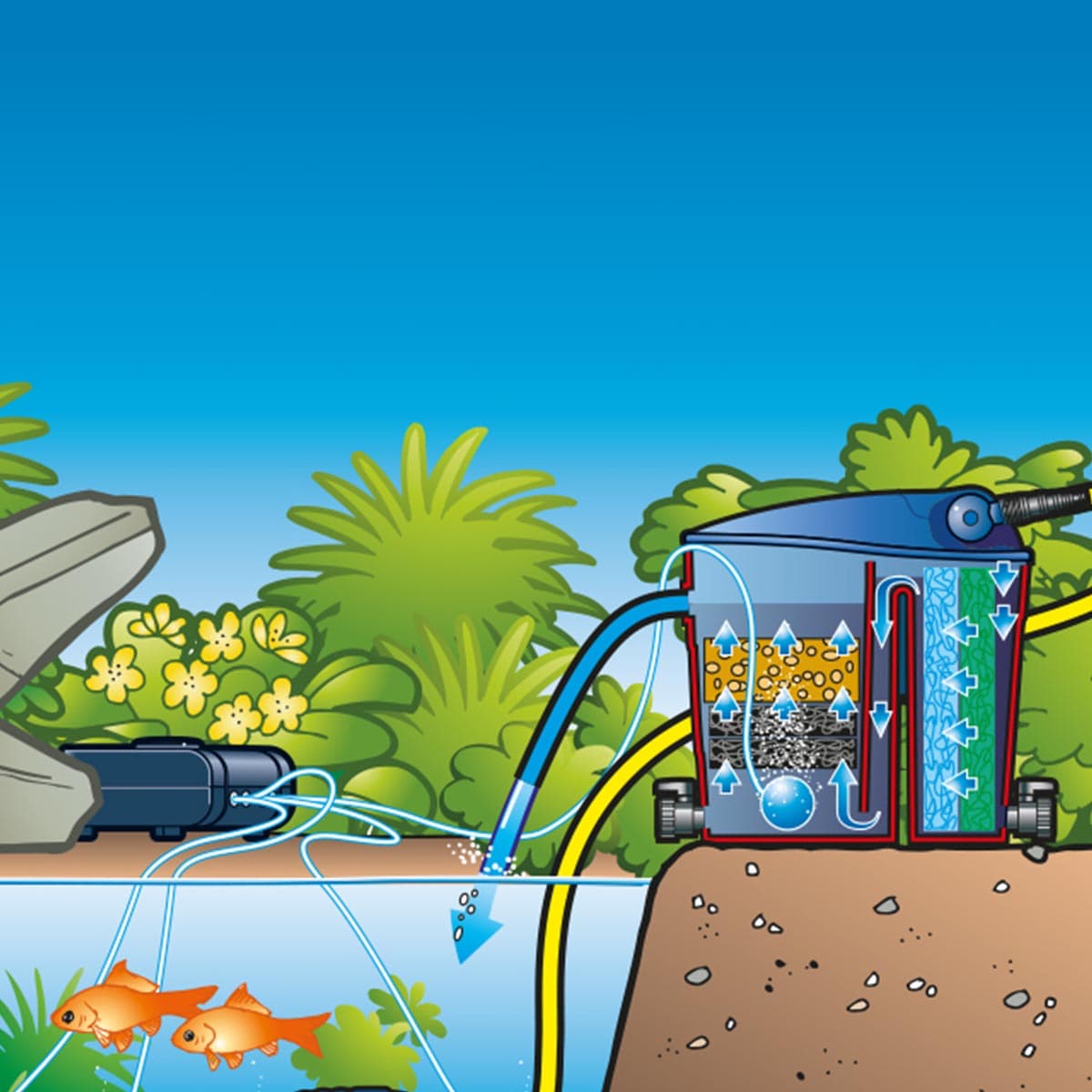 Tværsnit af havedamsfilter og pumpe til klart vand