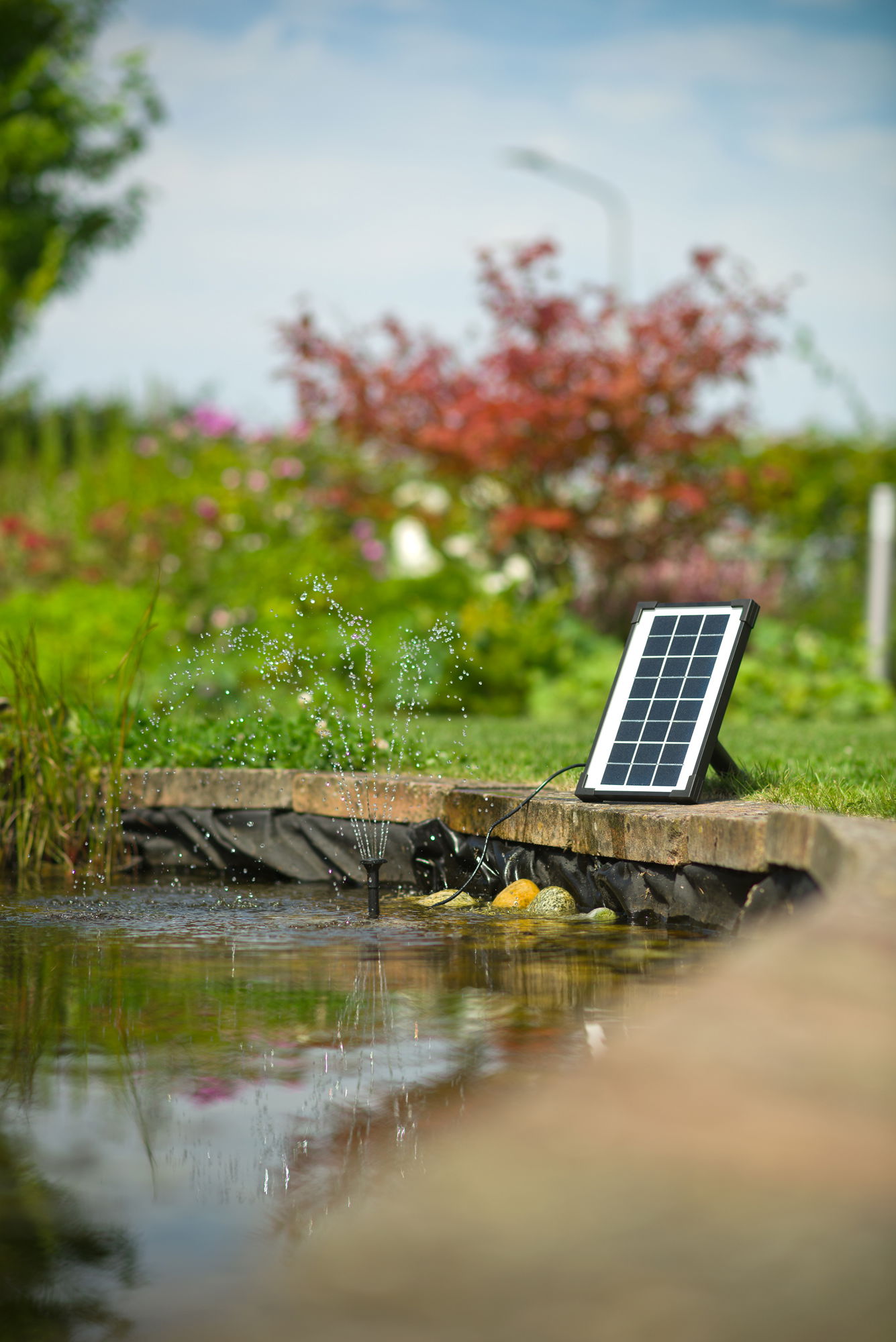 Lille solcelledrevet springvand i havedam