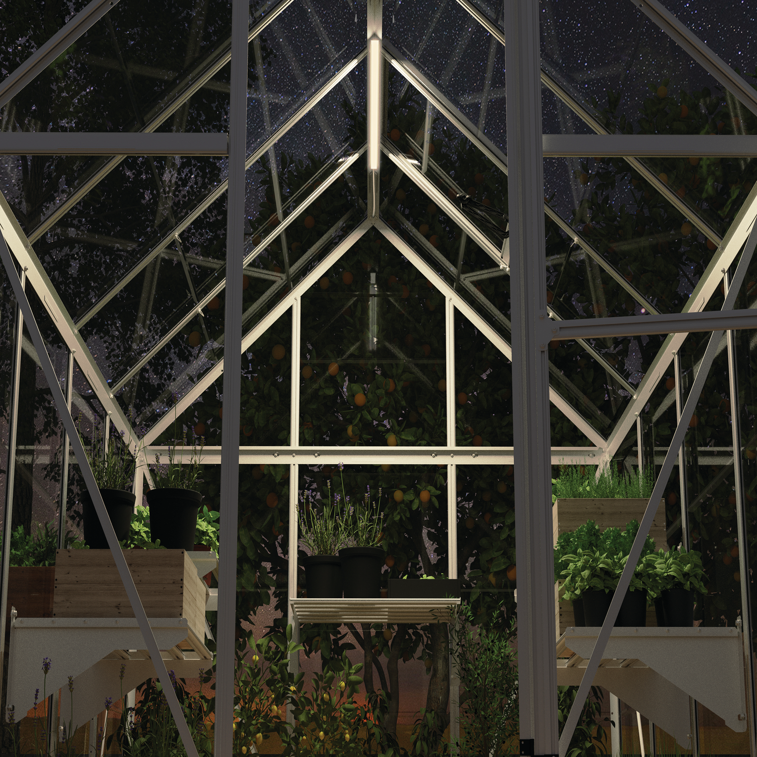 Drivhus med grønne planter og urter om natten