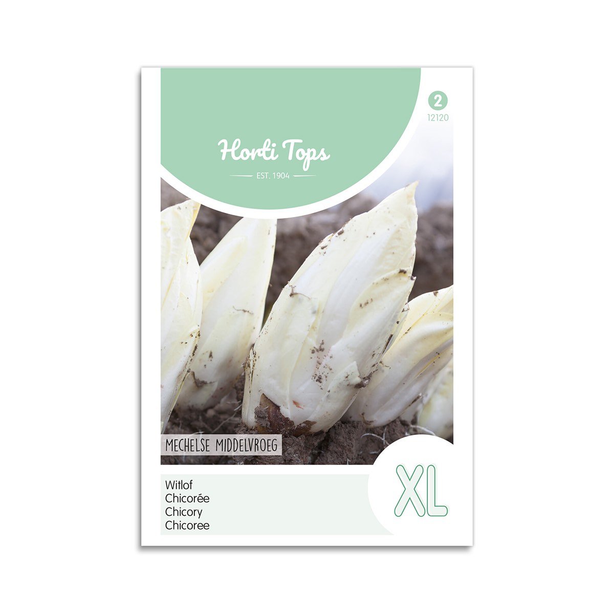 Julesalat/ Cikorie frø "Brussels Mechels"