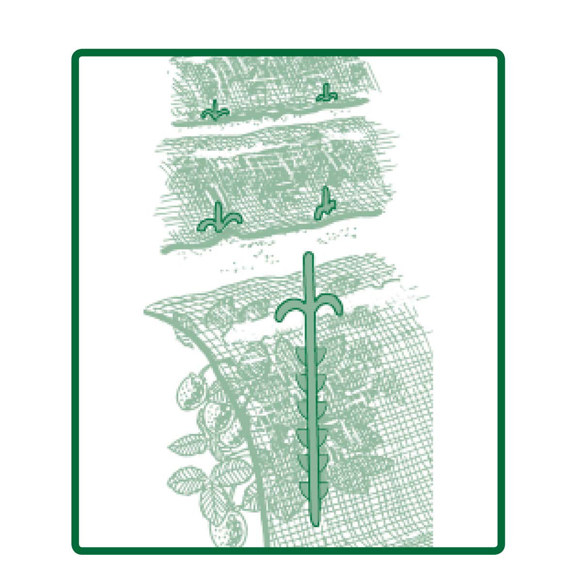 Illustration af plastspyd, der fæstner plantedug