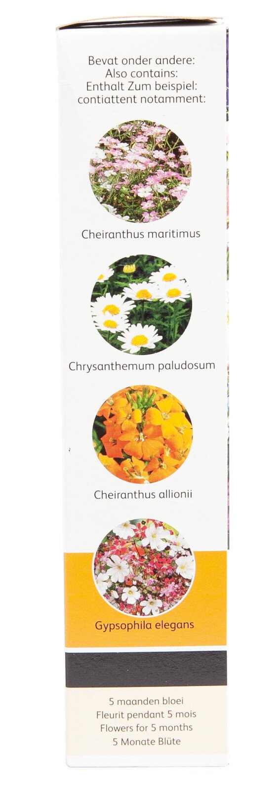 Frøpakke med blandede sommerblomster, 5 måneders flor