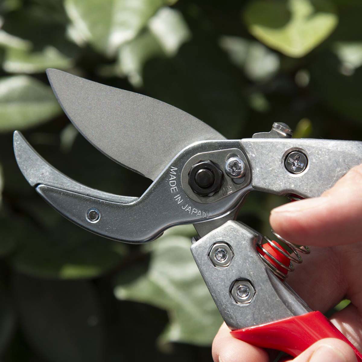 Nærbillede af japansk havesaks i rustfrit stål