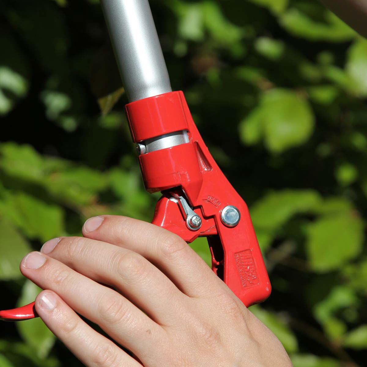 Hånd der betjener rød teleskopsaks i haven