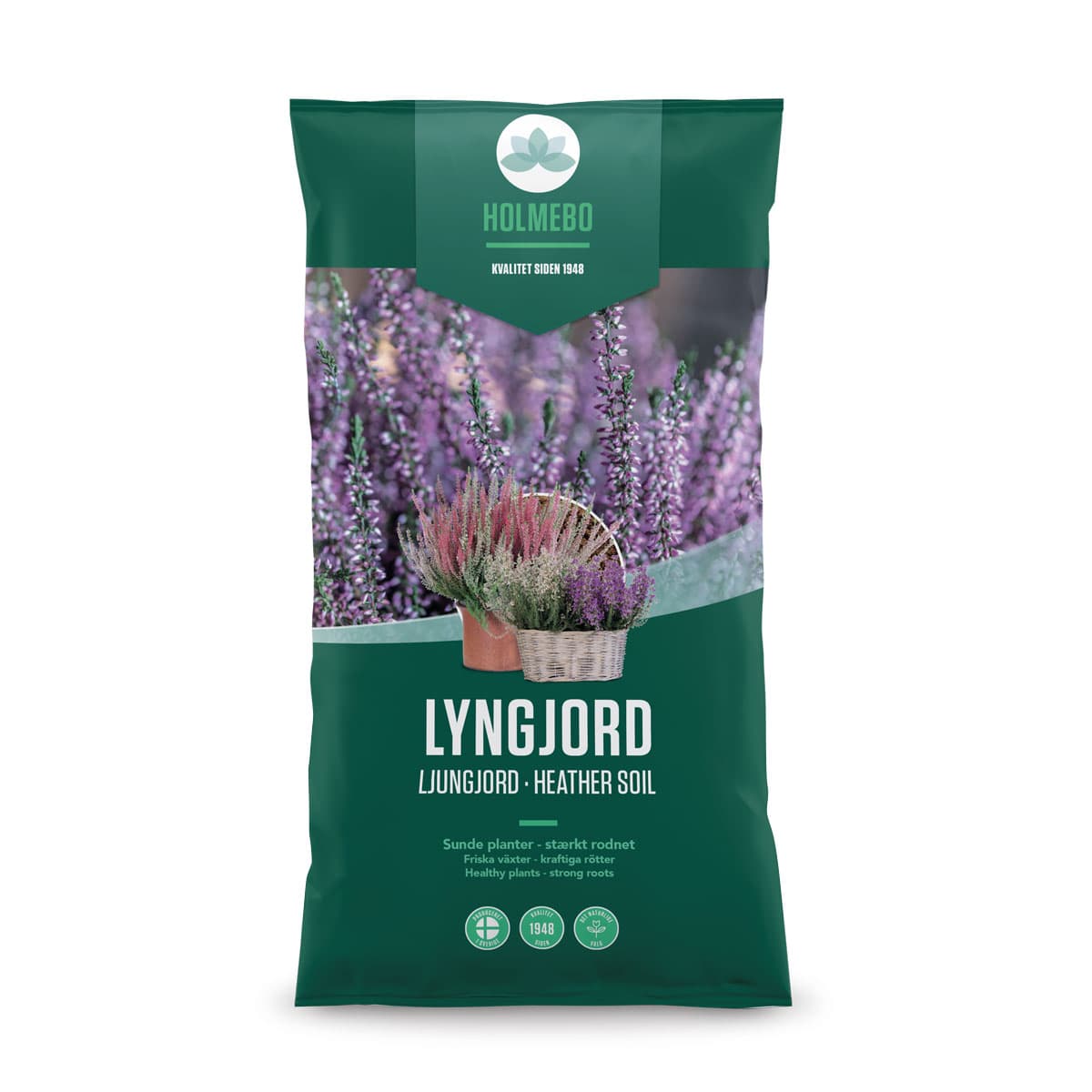 Lyngjord