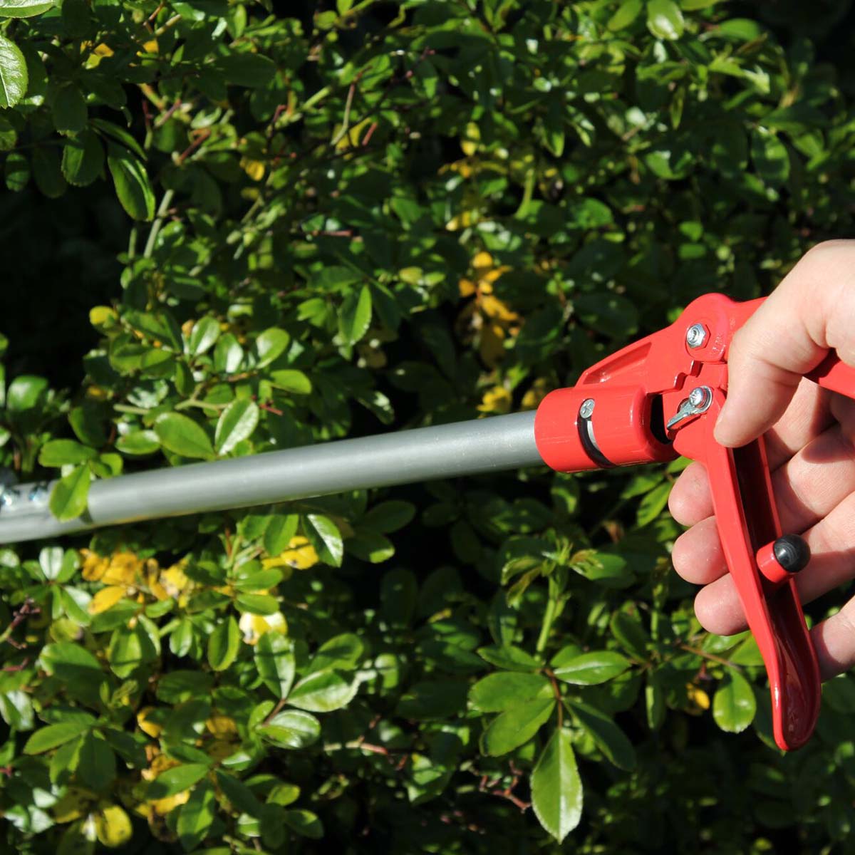 Rød grensaks med teleskopskaft i brug i haven