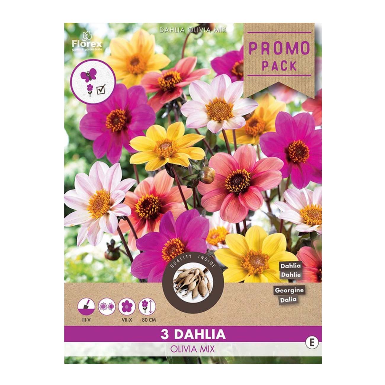 Dahlia Olivia Mix – 3 løg