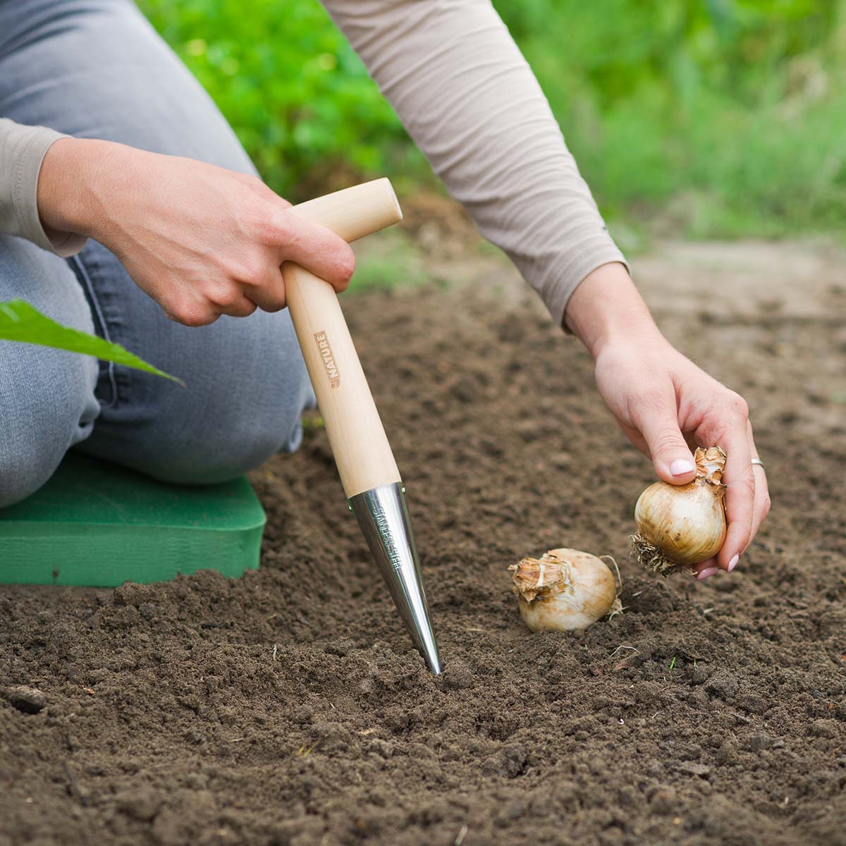 Hånd der bruger plantestok til at sætte blomsterløg
