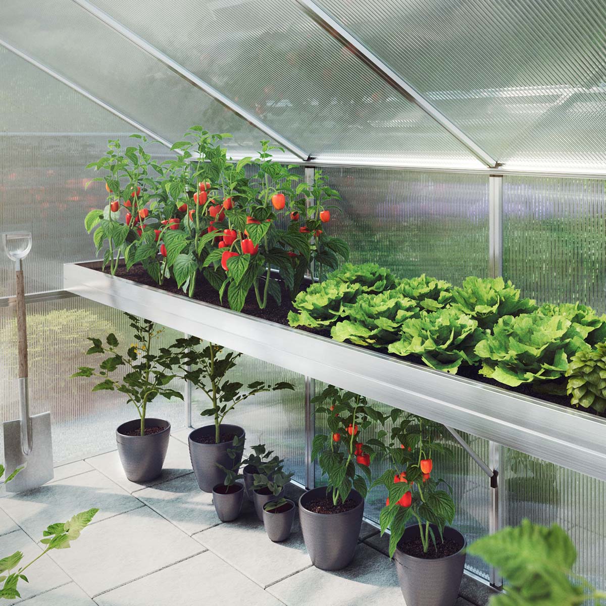 Plantebakke - Callas IV