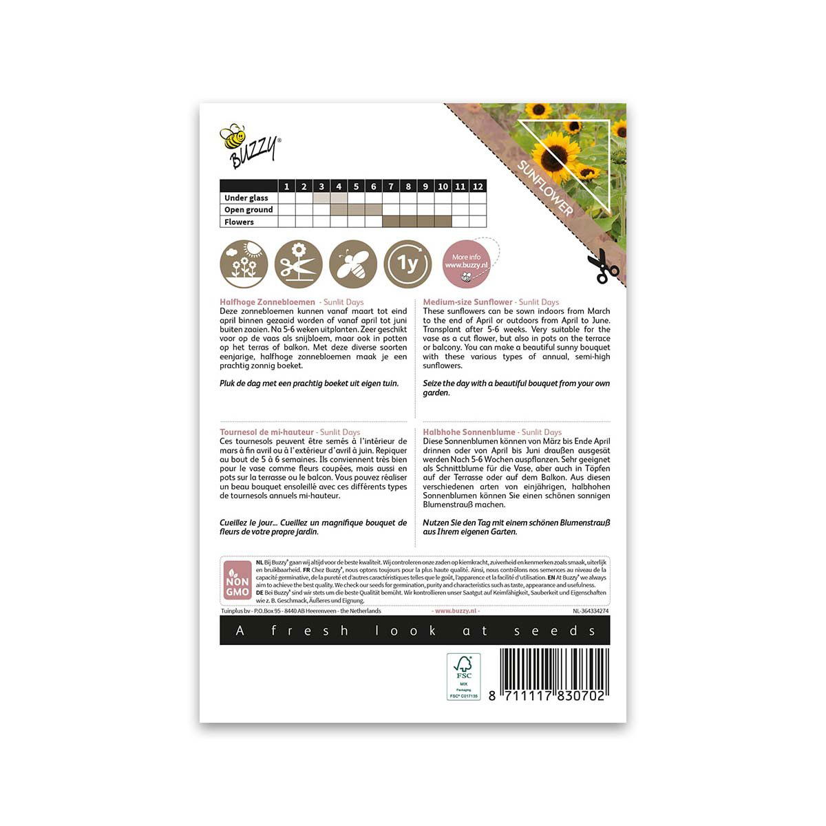 Buzzy pakke med frø til mellemstore solsikker