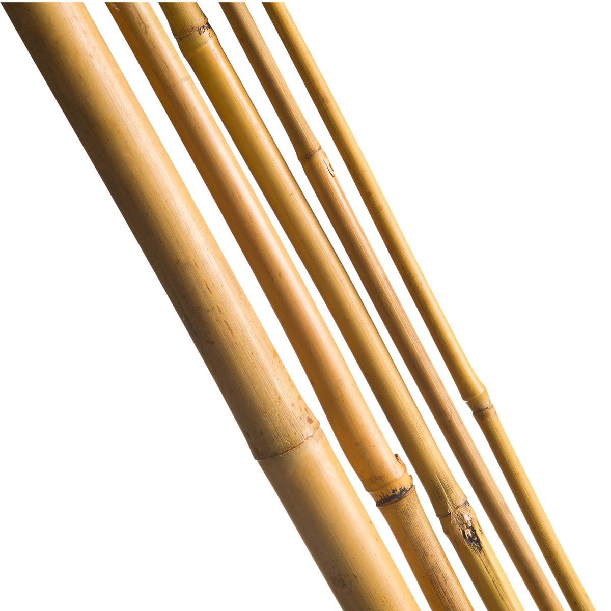 Bambuspinde H60 cm - Ø6-8 mm 10 stk