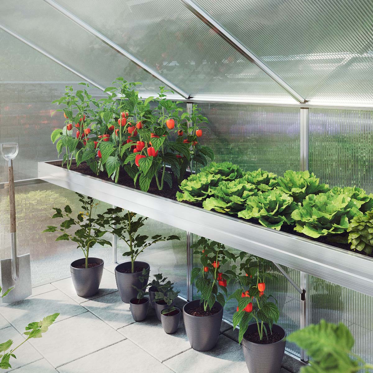 Plantebakke - Lilie IV