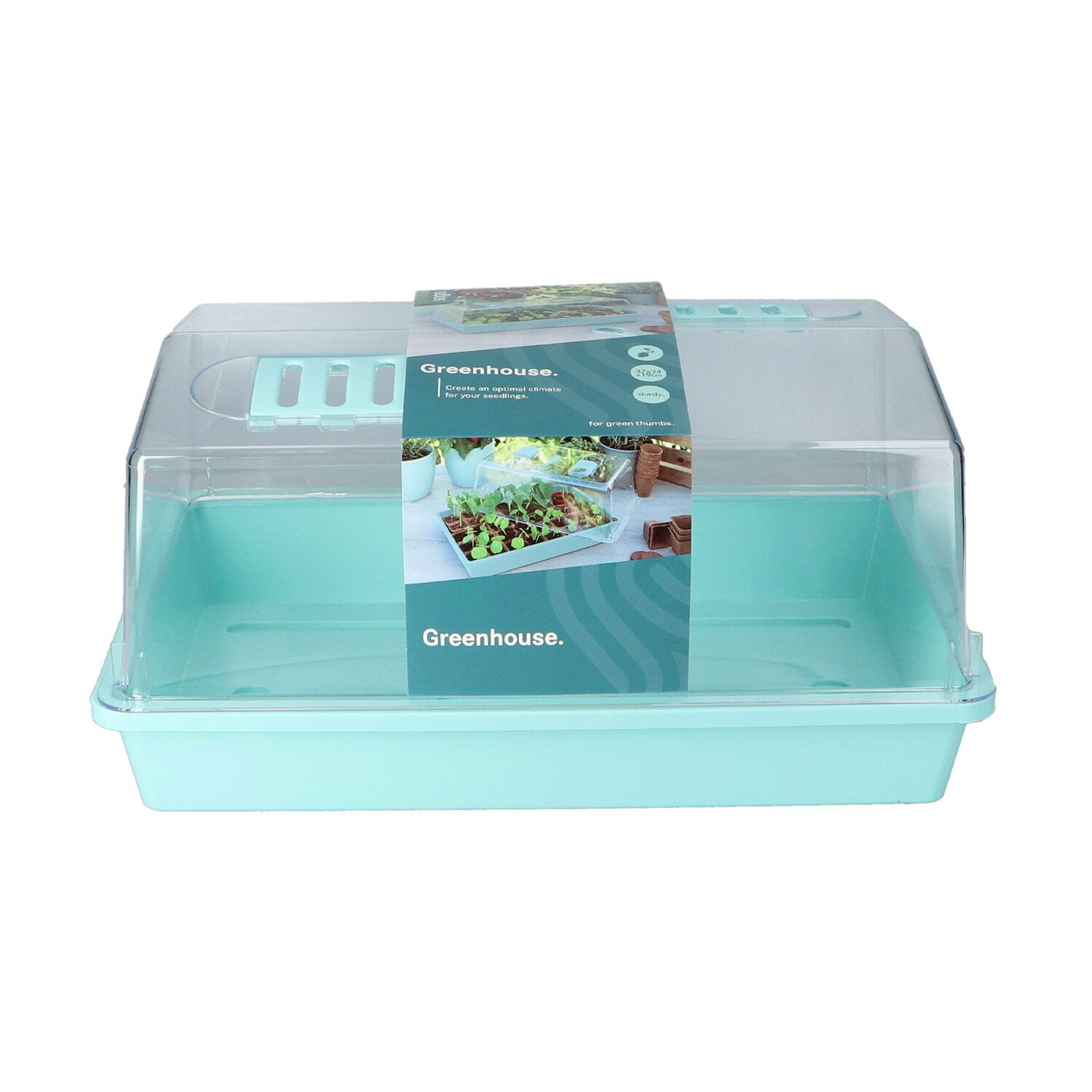 Turkis mini drivhus med plastlåg til forspiring