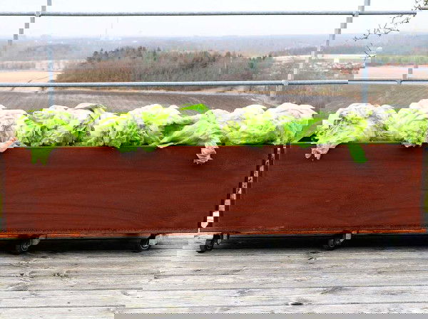 Træplantekasse på hjul med grønne planter på altan