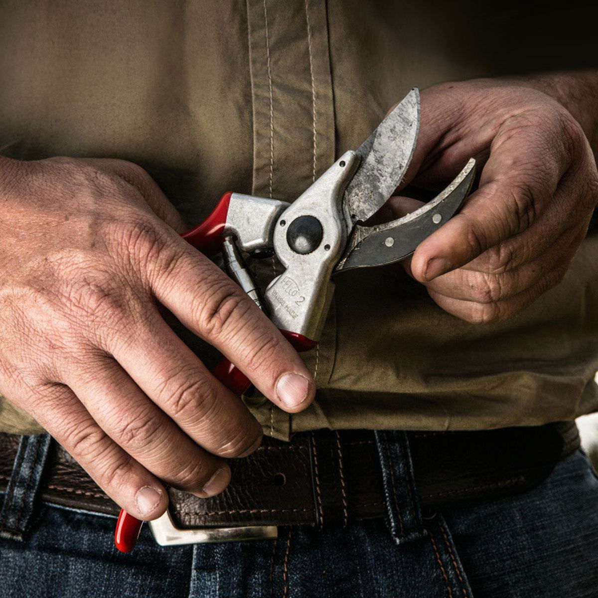 Mand holder en skarp havegrebbesaks