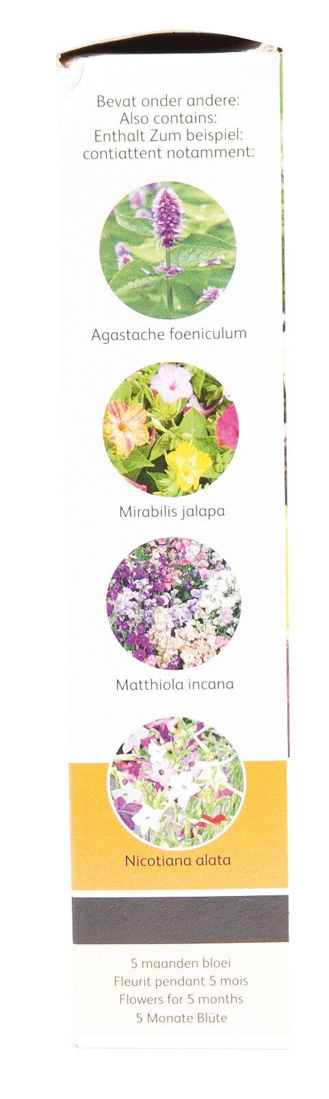 Frøblanding med Agastache, Mirabilis, Matthiola og Nicotiana